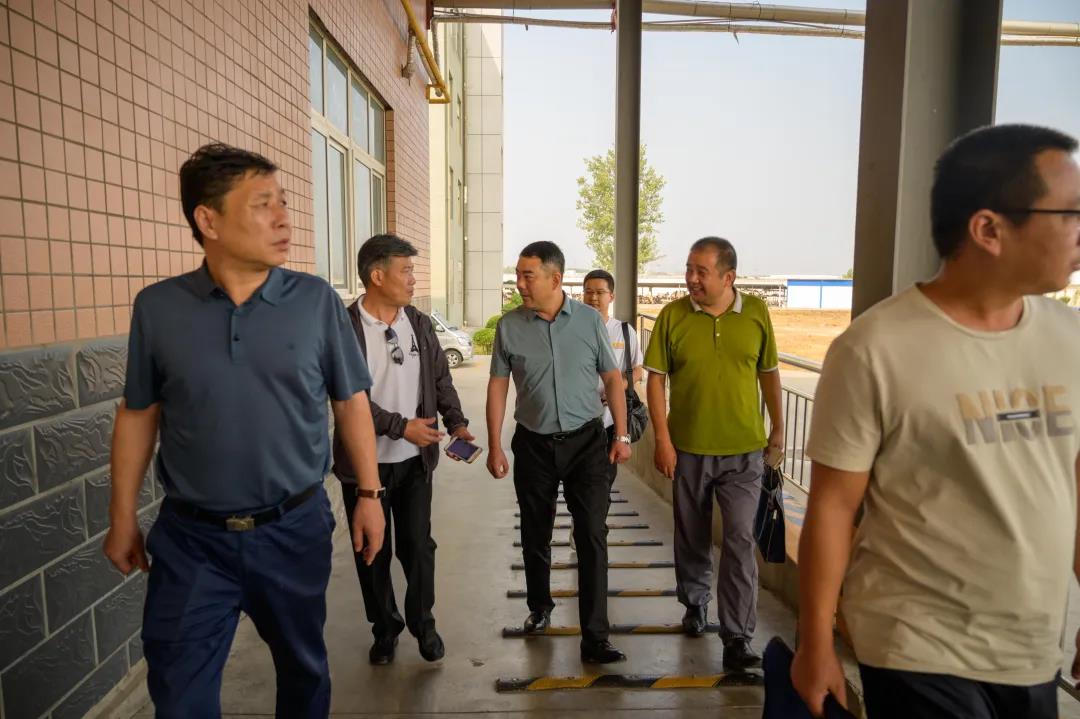 宜阳县市场监视治理局孙治平副局长一行莅临来利国际app食物开展“食物生产日常监视检查”现场教学活动_来利国际app